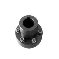 YLD Type Flange Shaft Rigid Coupling with Disc Structure